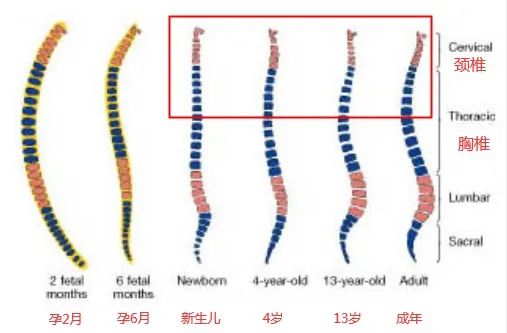 婴儿多久可以睡枕头（宝宝到底多大用枕头）