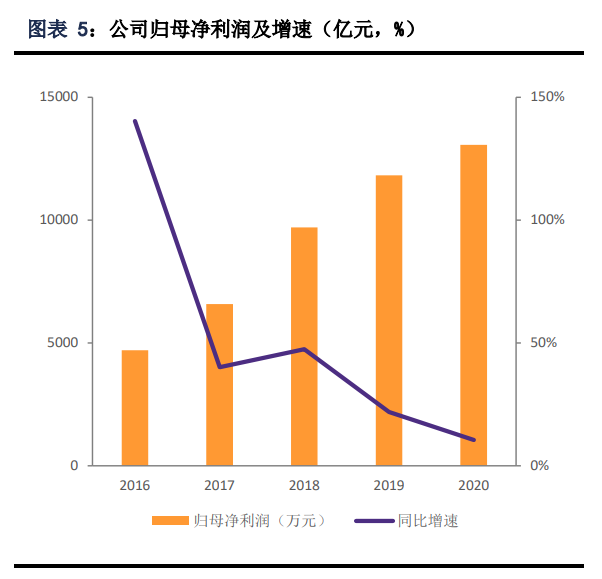 嘉必优专题报告：国内技术领先的营养素生产企业
