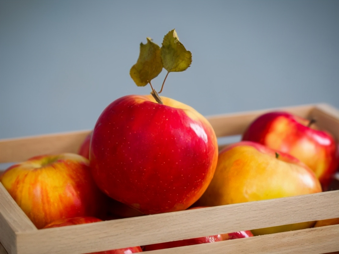 吃苹果能减肥吗（一年竟然增肥9斤多？）