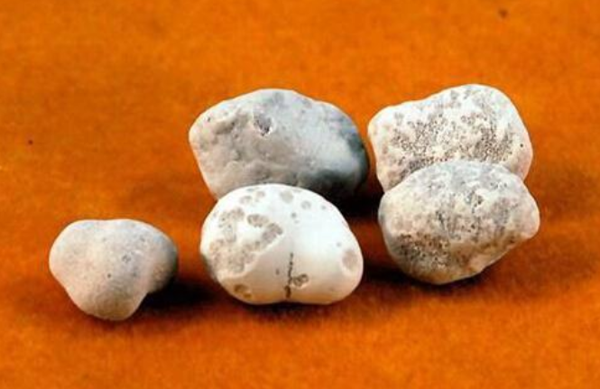 舍利子究竟为何物？唯得道高僧才有吗？它的化学成分又是什么？