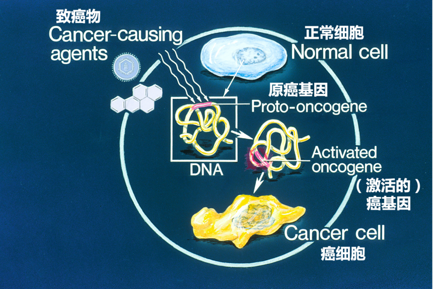 我听见赞誉来自人海，我排着队拿着诺奖的号码牌