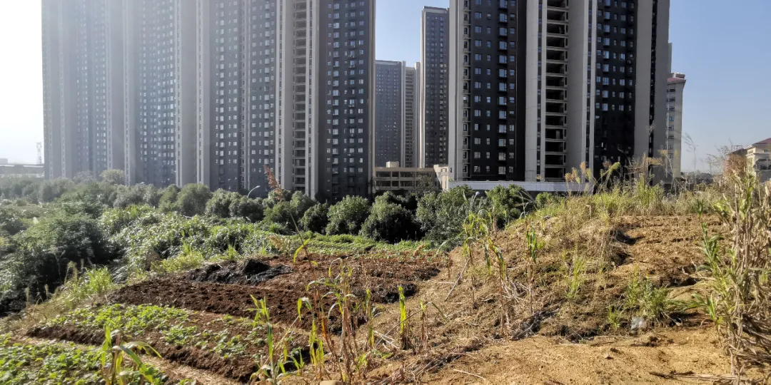 期待!九江柴桑区政府旁137.589亩臻品地块即将重磅登场