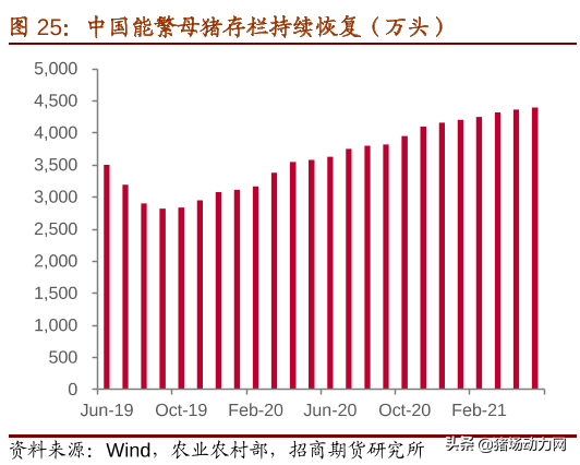 2021养猪业年中盘点：一大事件，两大政策，三大趋势