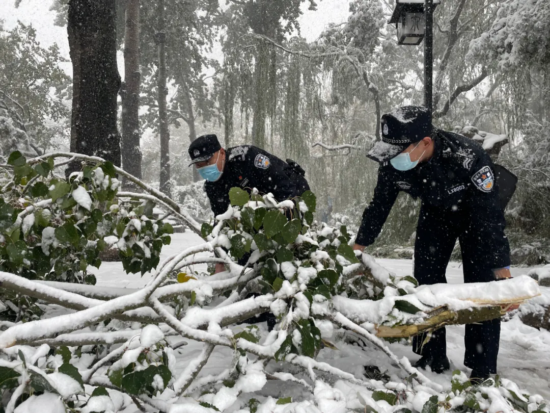 雨雪中的守护：济南公安化身成为风雪中的最美警色