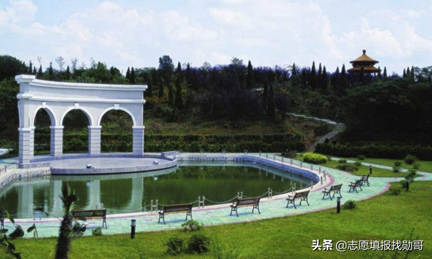 厦门嘉庚，中山南方，南大金陵，独立学院三巨头，选哪个？