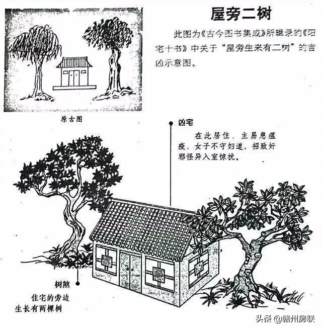 漫画详解48例住宅风水知识，难得一见，看懂了才不会被大师忽悠