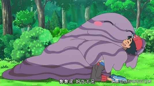 《口袋妖怪图鉴》No.089：难以忍受的强烈臭味——臭臭泥