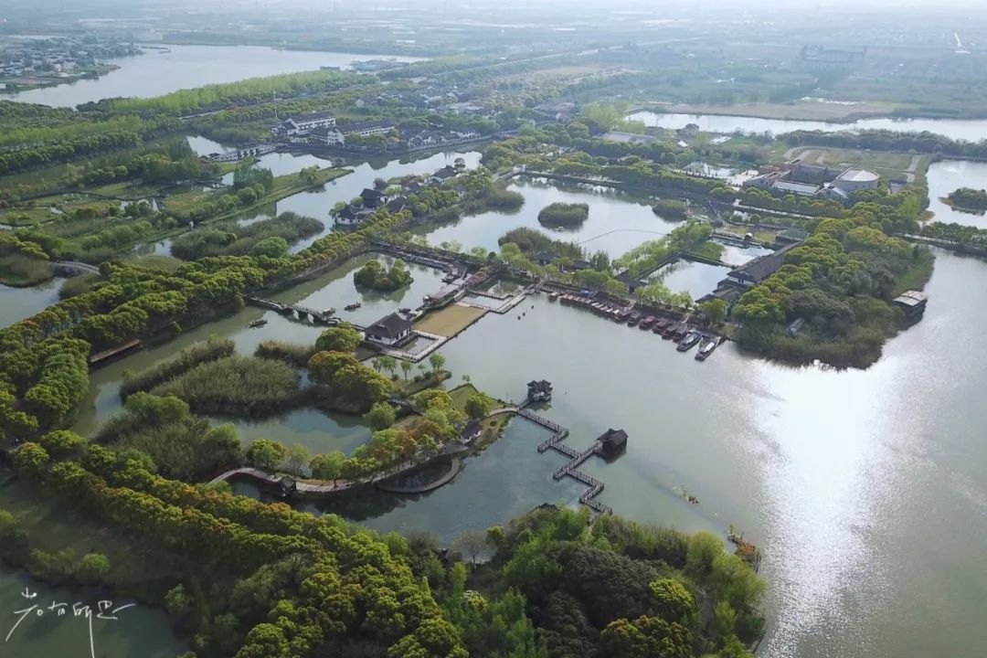 原味江南｜在春日繁花烂漫的沙家浜，等风也等你
