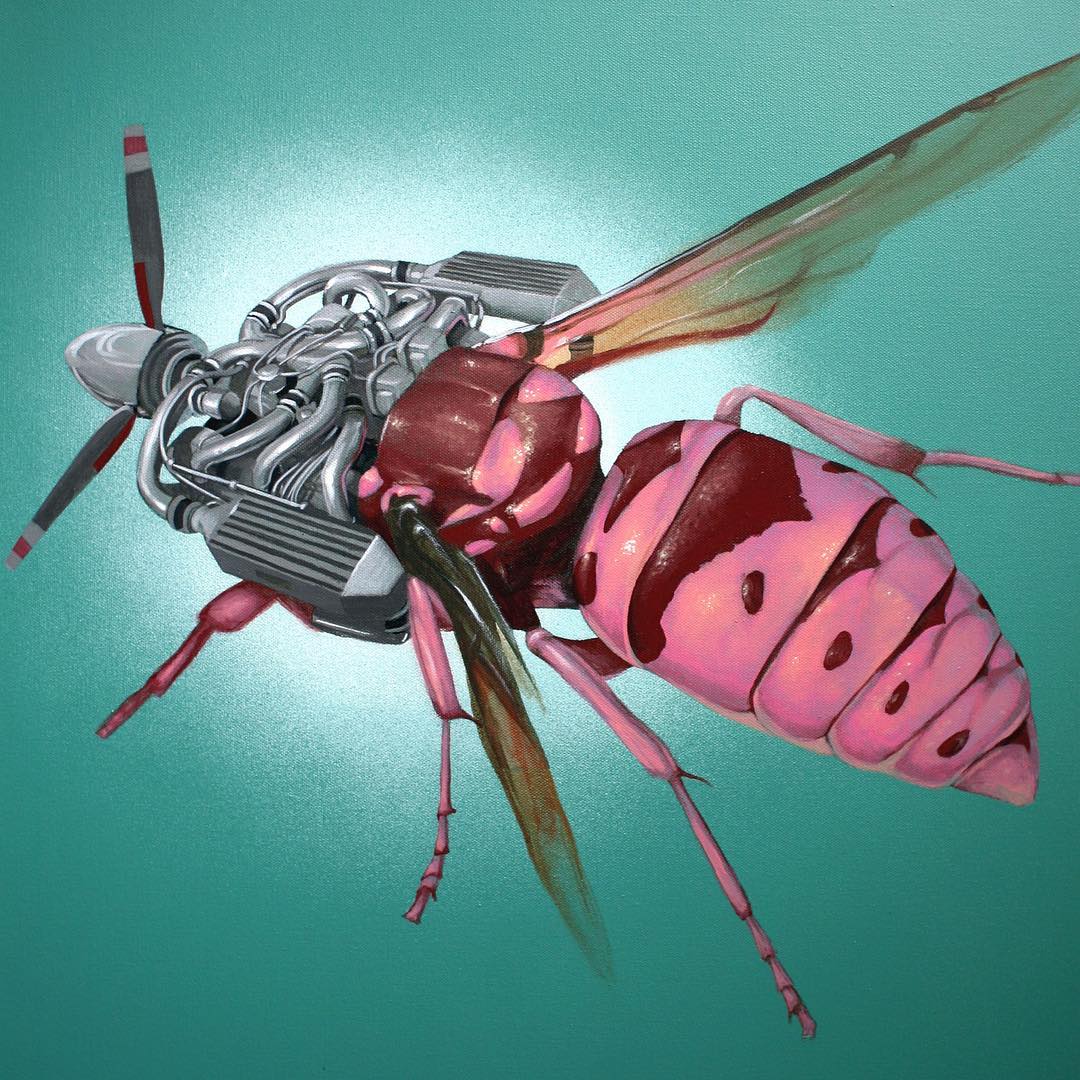 蜜蜂总动员电影观后感精练86句