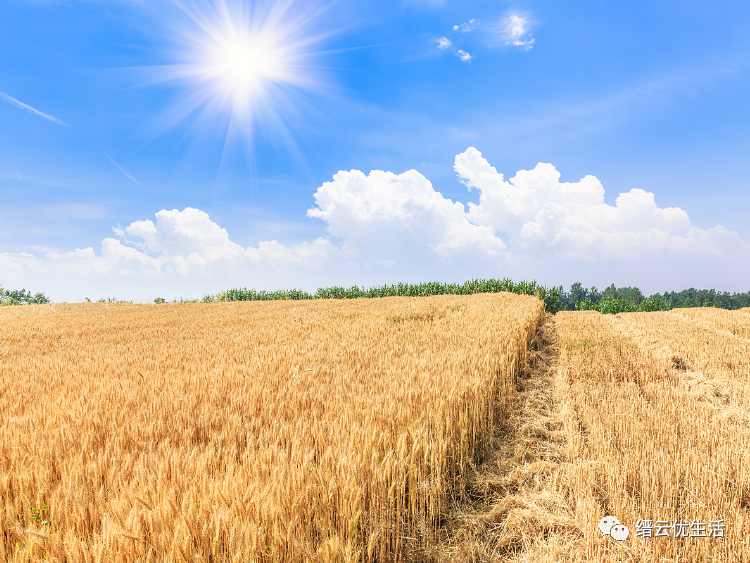 壶镇第一家工厂：溪头街中兴麻袋厂，开启壶镇工业重镇的不凡之路