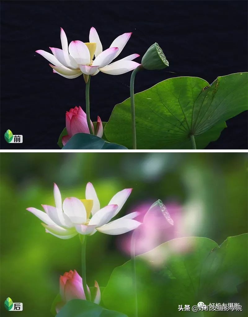 Ps≠专业，手机后期≠低端，选择适合自己的后期工具才是最重要的