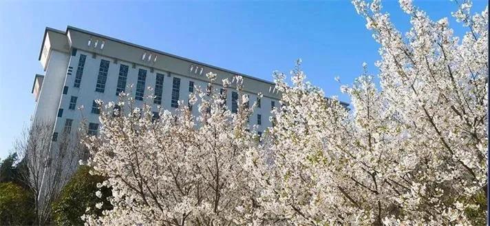 河师大和新乡医学院纷纷落户卫辉，千年古城亟待重树辉煌！