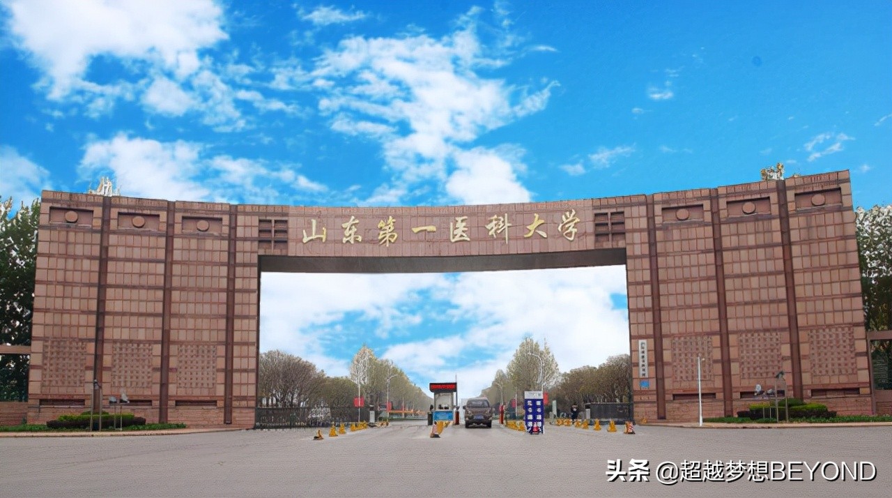 山东第一医科大学2021年山东省各专业录取分数统计