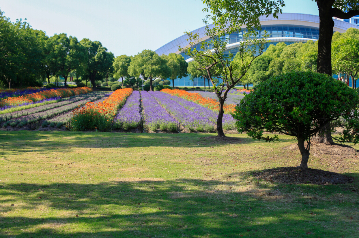 招生1024人学费5万元每年，上海艺术学院2021年录取数据分析