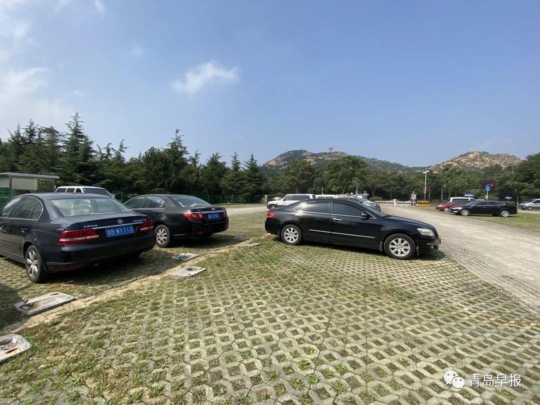 青岛市车辆违章查询,青岛市车辆违章查询官方网站