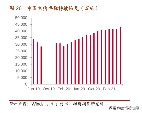 2021养猪业年中盘点：一大事件，两大政策，三大趋势