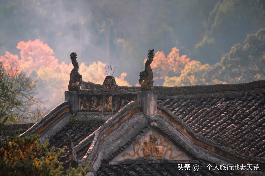 《长津湖》破37亿，取景地爆火出圈，浙江这个神仙小城终于要火了