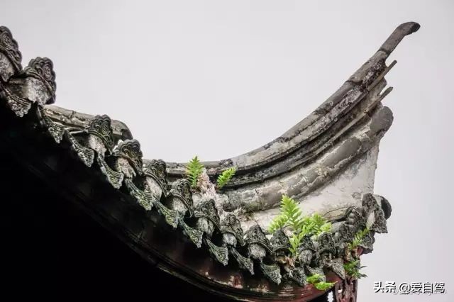 丽水的这座宝藏小县城，隐秘于浙西南的世外桃源
