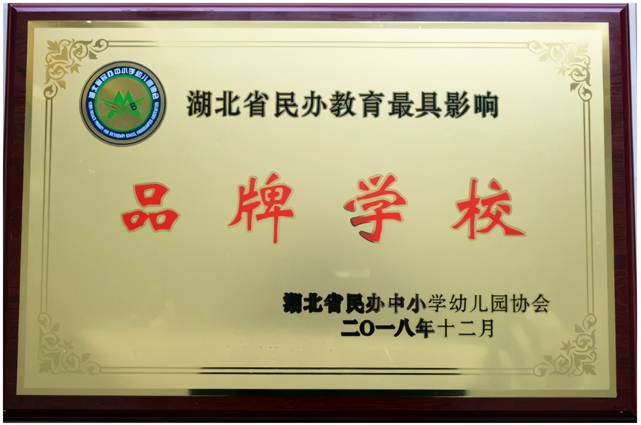 名震荆楚！江汉平原这所农村学校校园足球硬核实力势不可挡