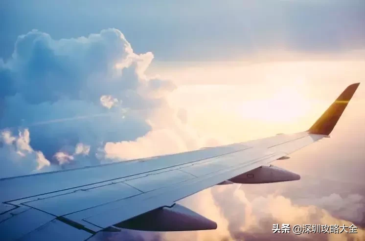 有了这本“通讯录”走遍深圳都不怕~