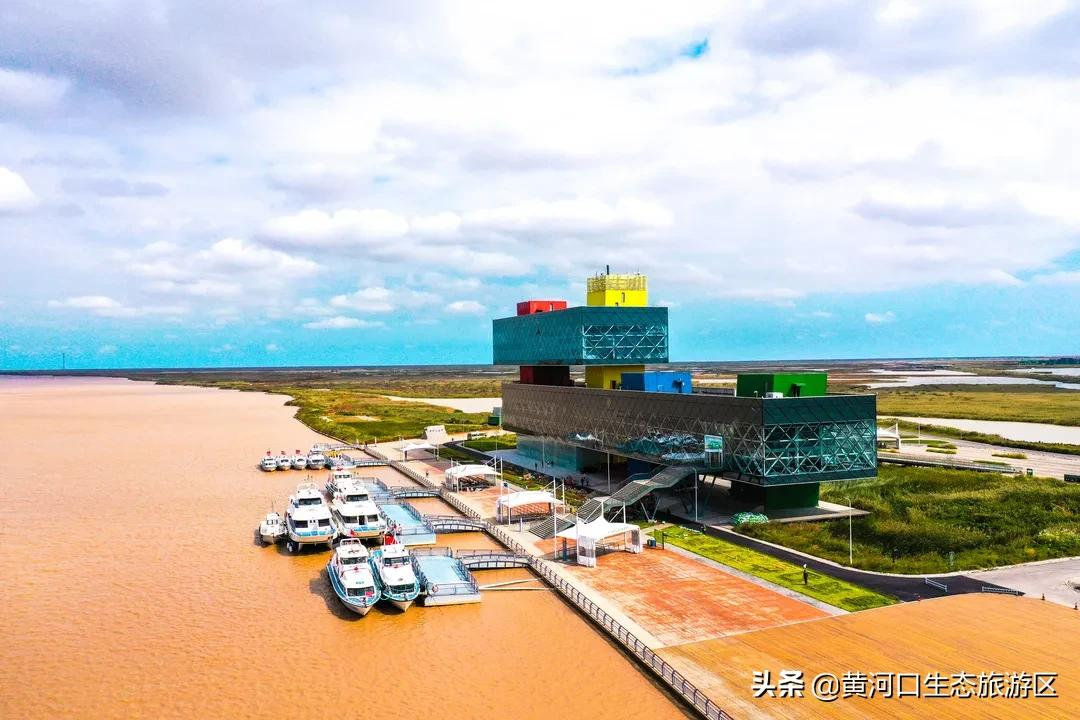 【黄河口生态旅游区】我已最美 欢迎回家