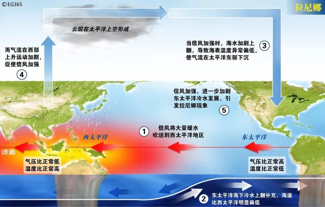 大降20℃！“凉秋”来了？全国性降温要来了，广东，福建都要变凉