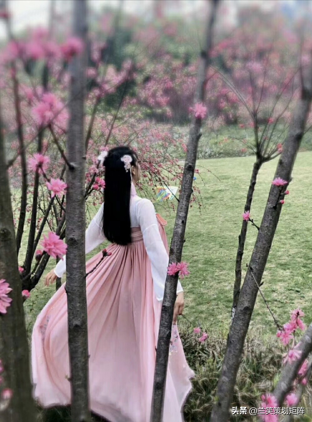 诗情桃花源 | 此生，只为你盛开这朵桃
