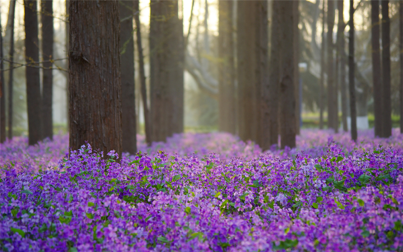 南京理工大学 近三年录取分数统计分析，附2019年专业录取分数