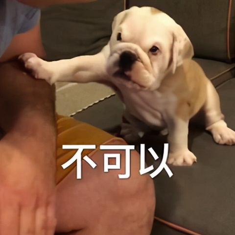 微波爐食譜,微波爐食譜大全及做法竅門