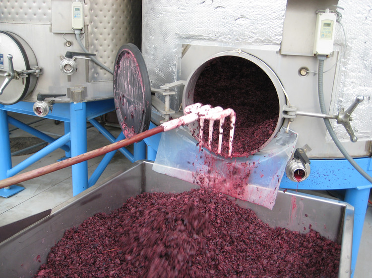 还是生成酒香的重要过程,在发酵之后,葡萄汁完全转化成葡萄酒