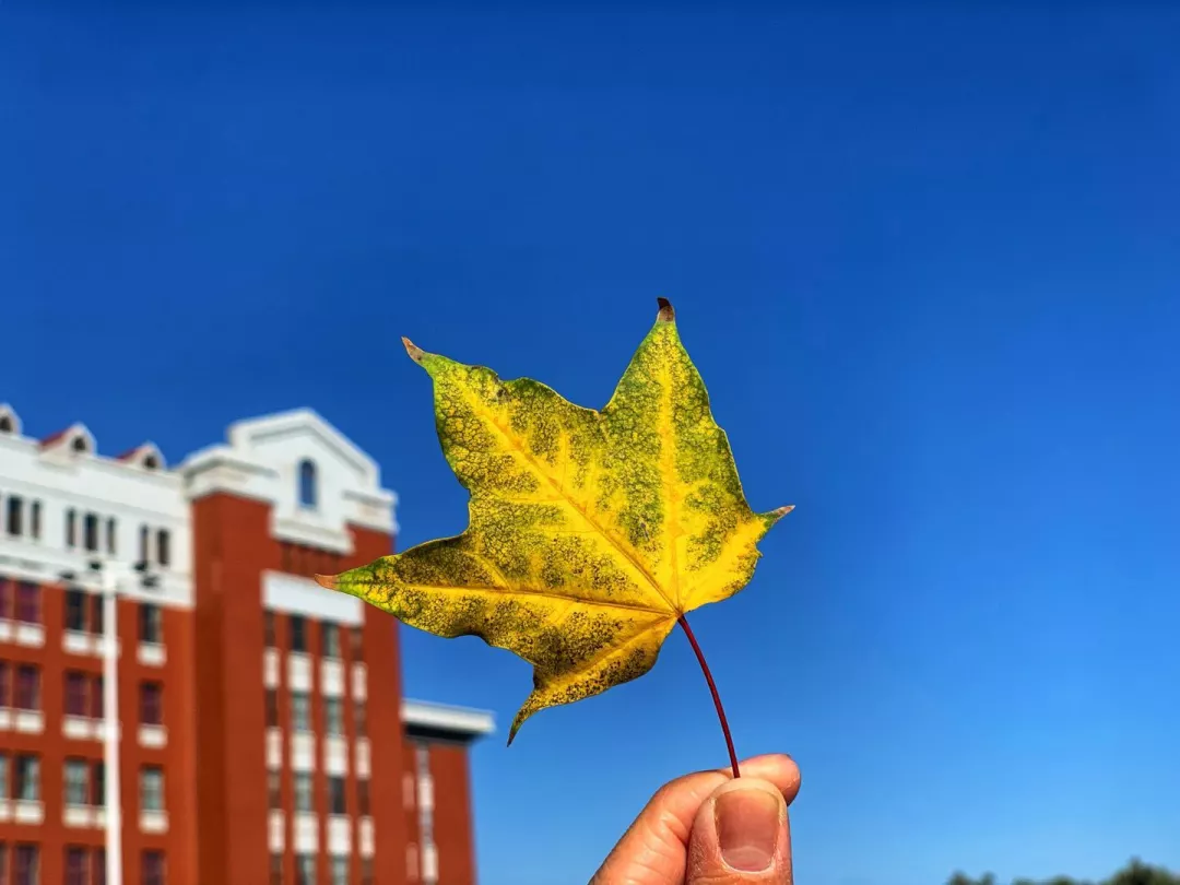 辽宁工程技术大学，来了