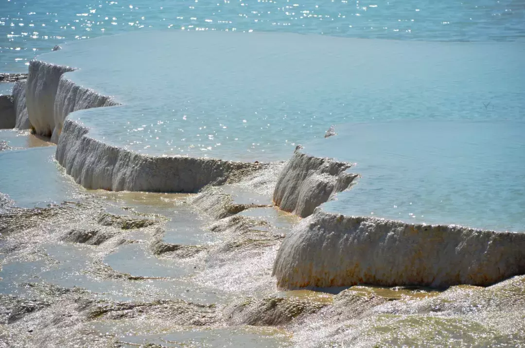 冬日遗产汤，泡吗？