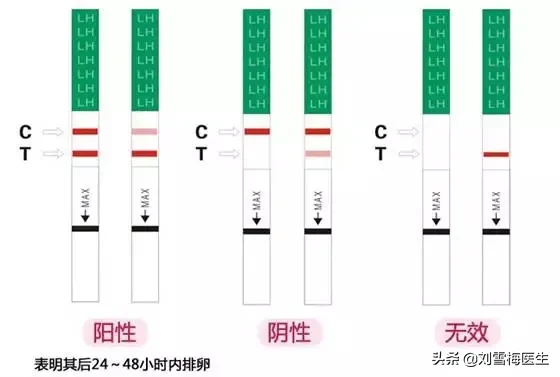 排卵试纸怎么用？看这一篇就够了