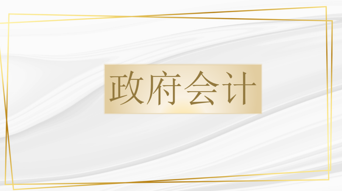 政府会计要素（政府事业单位难做）