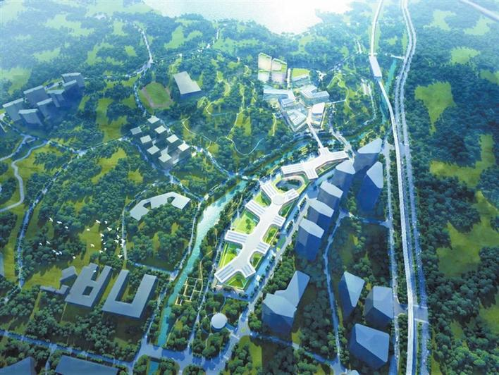 定了！中央支持，深圳第5个医学院！对标国际，面向全球招院长