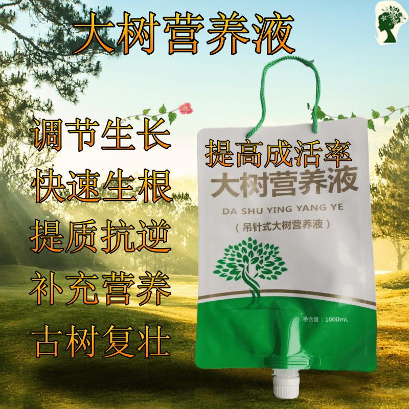 大树移栽的这几点注意事项做好成活率高枝叶茂盛