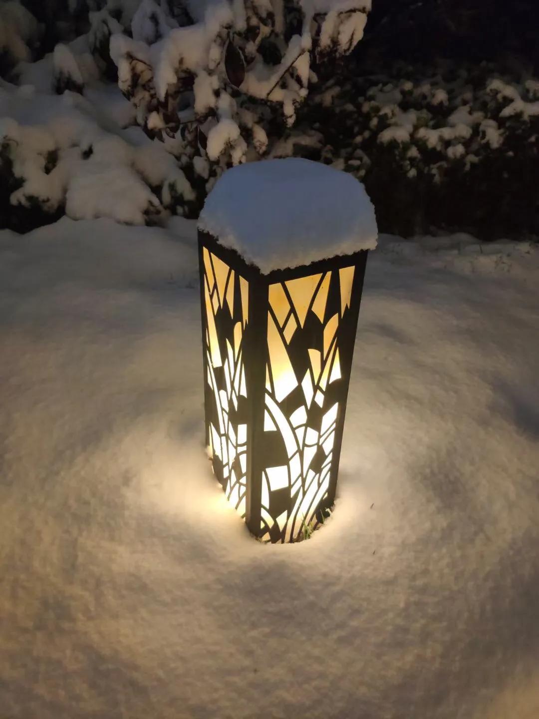 人群中有人说：看，那个女孩又来了，年年如此为了什么？？