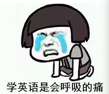 turtle英语发音教程，轻松教会孩子记忆单词技巧