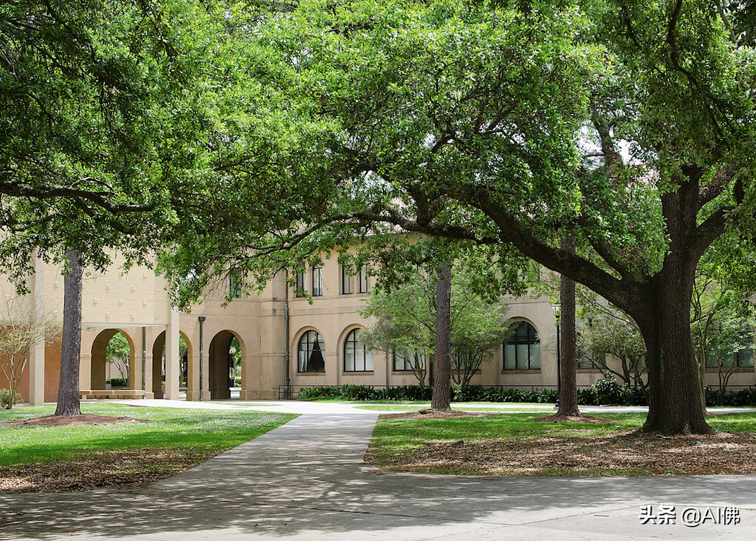 美国排名前50位的派对大学（The top 50 party schools in America）