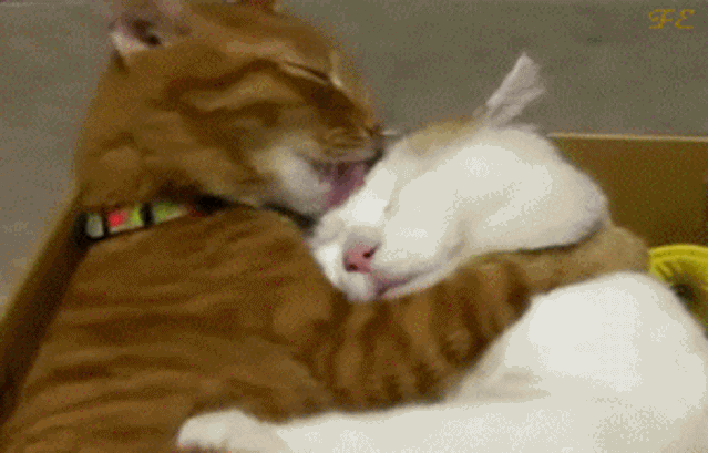 2020版最新法官、检察官表情大全！哈哈哈