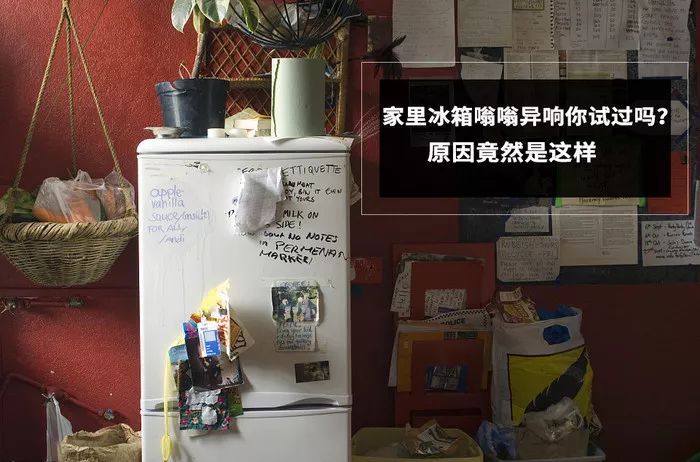 家里冰箱嗡嗡异响你试过吗？原因竟然是这样
