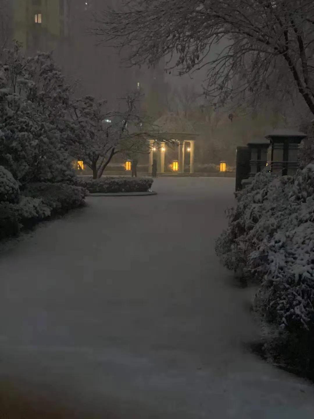 人群中有人说：看，那个女孩又来了，年年如此为了什么？？