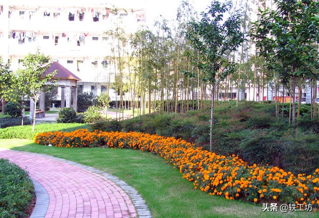 又有5所医学院即将更名为大学！得到地方大力支持，或很快实现