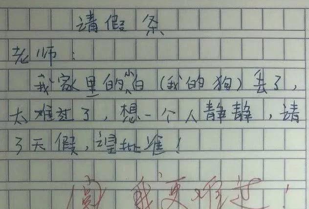 教师产假请假条,教师产假申请书
