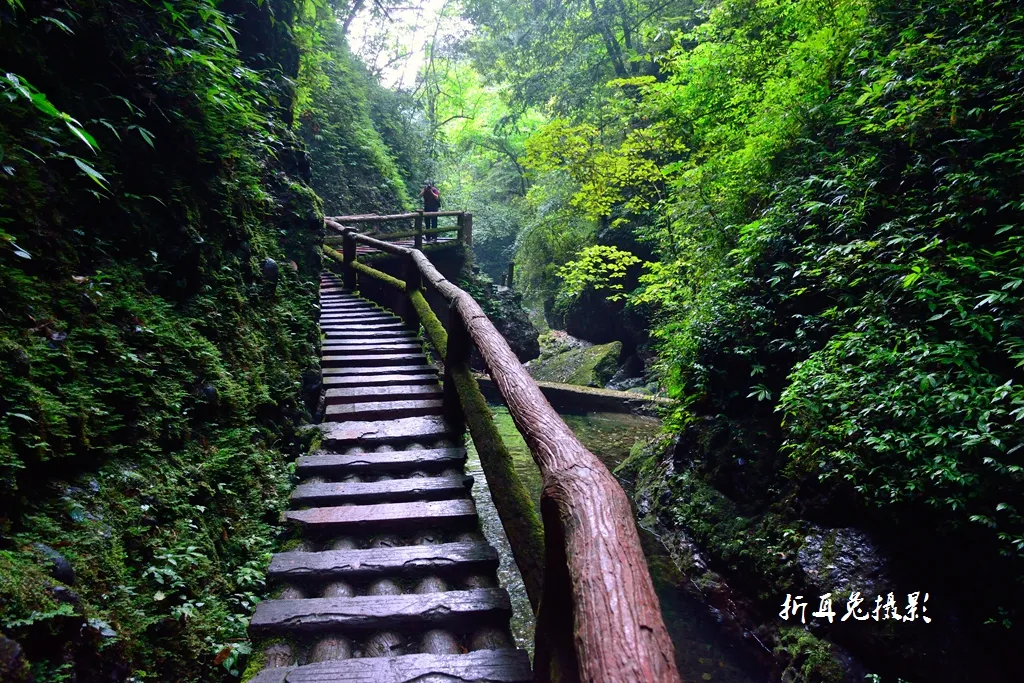 到青城山，解锁夏日最最最清凉的耍法