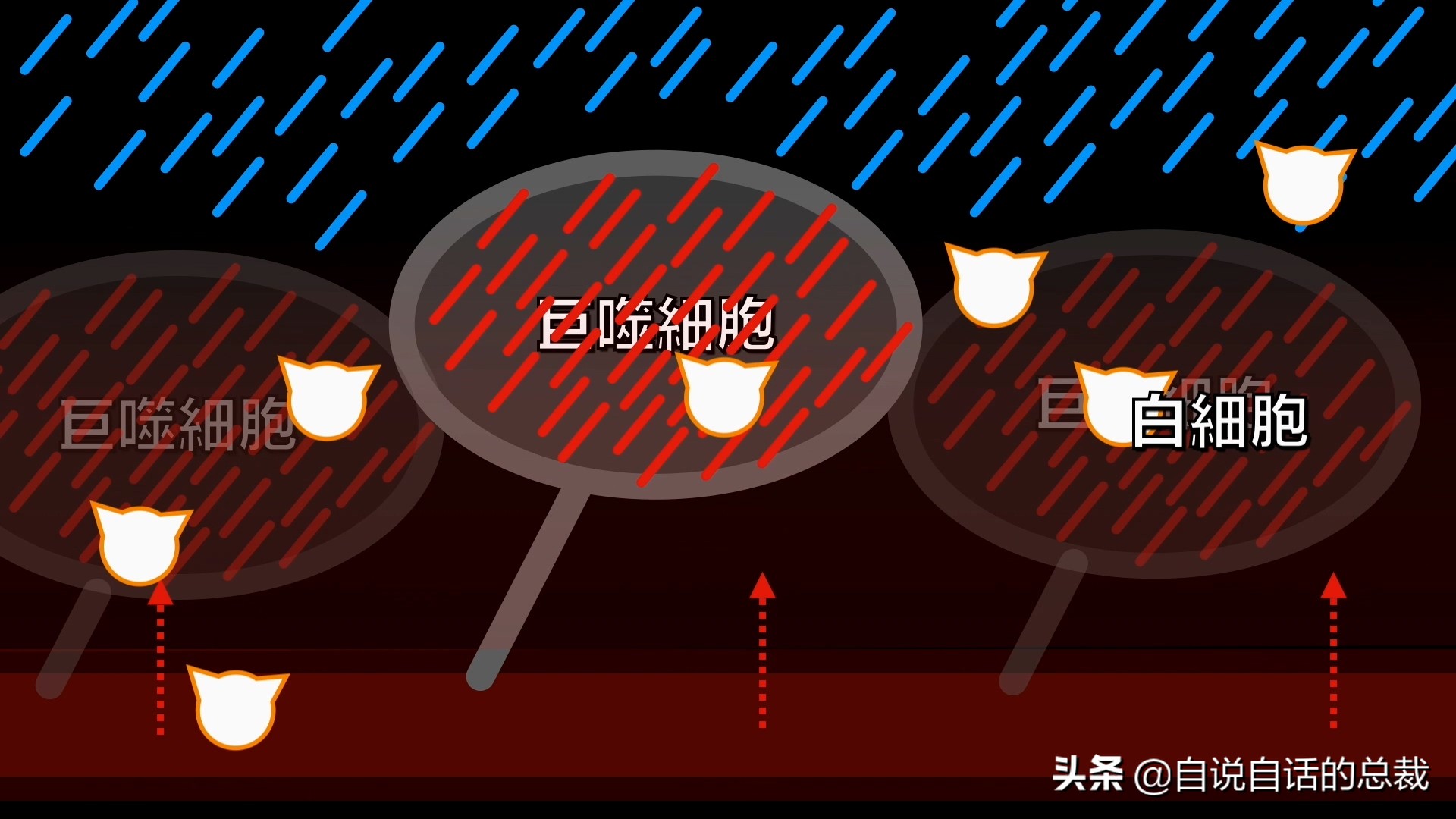 埃博拉：人类的诅咒，你的身体如何对抗它，它到底有多恐怖
