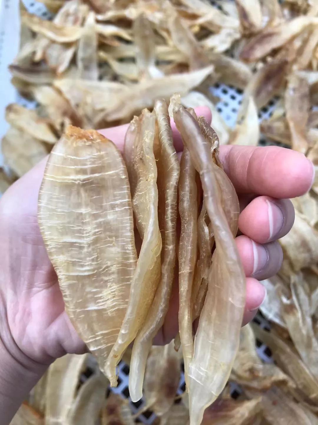 立冬后宜进补，鱼胶这样炖，汤水清甜，胶质多又营养，孩子也爱喝