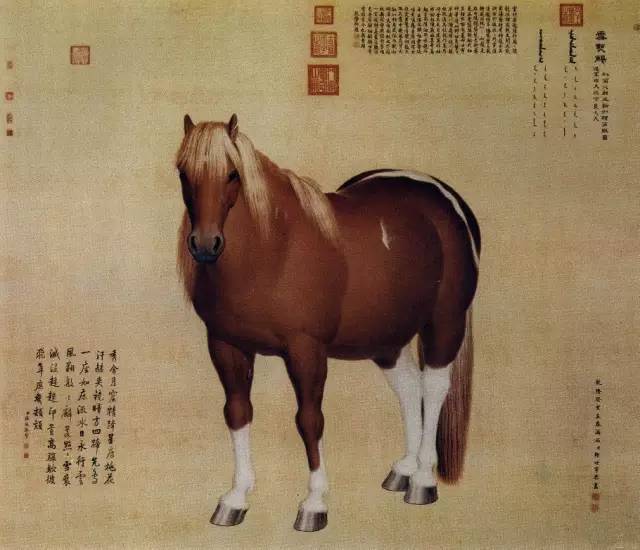 中国古今名家笔下的骏马，纵横驰骋