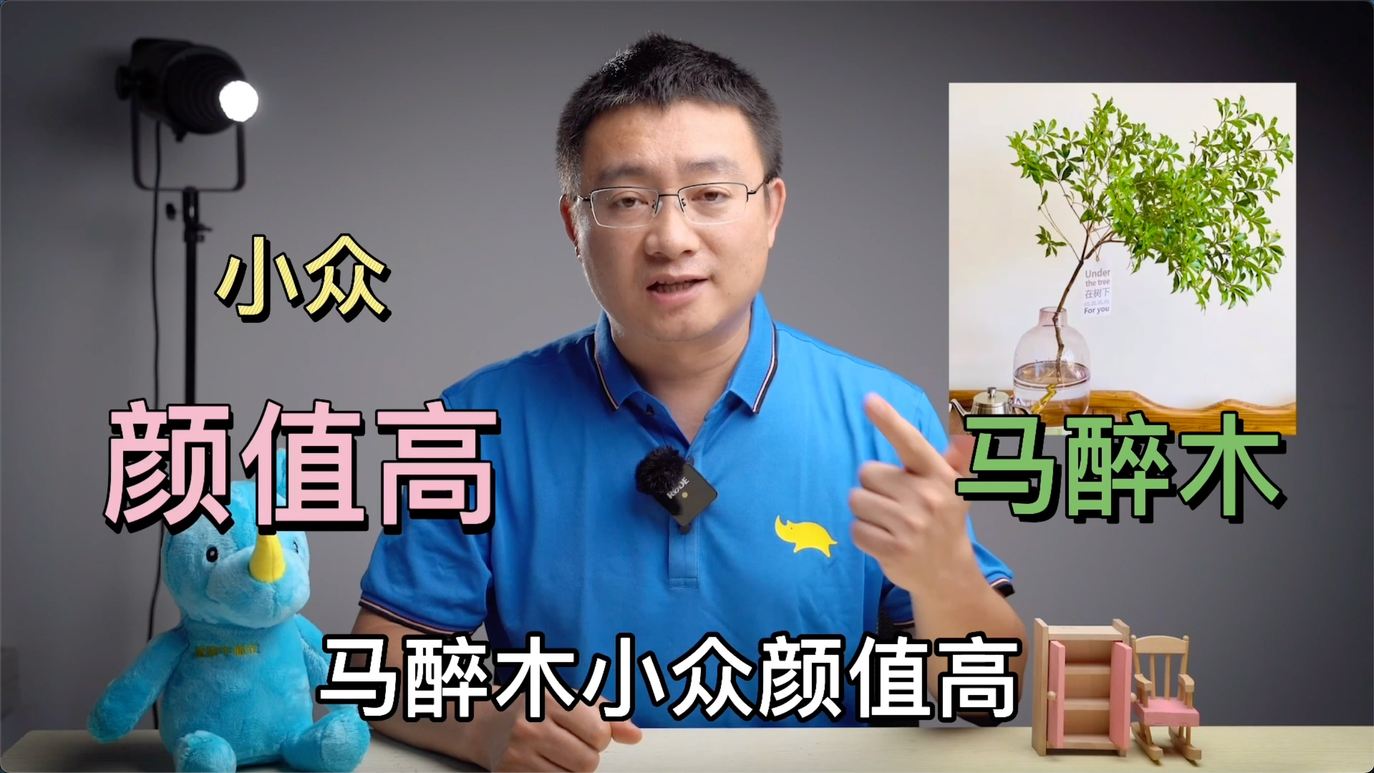适合搬家送的绿植（适合搬新家的绿植）
