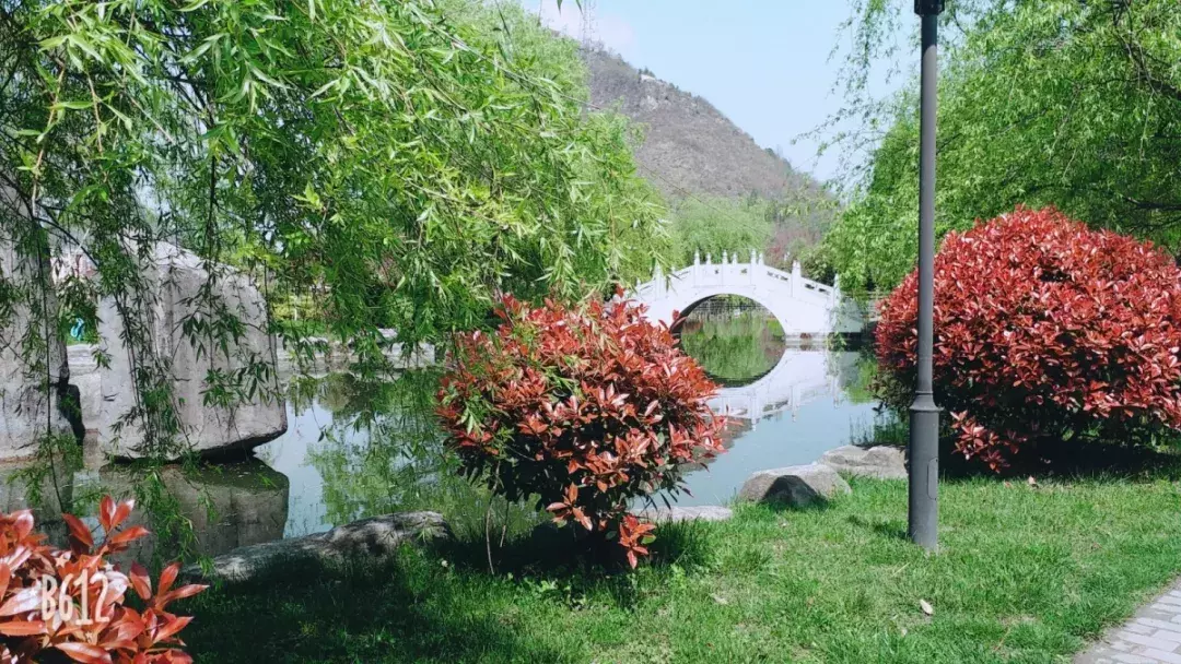 纵使时光流逝 我已不在你的身旁 我的母校市三中